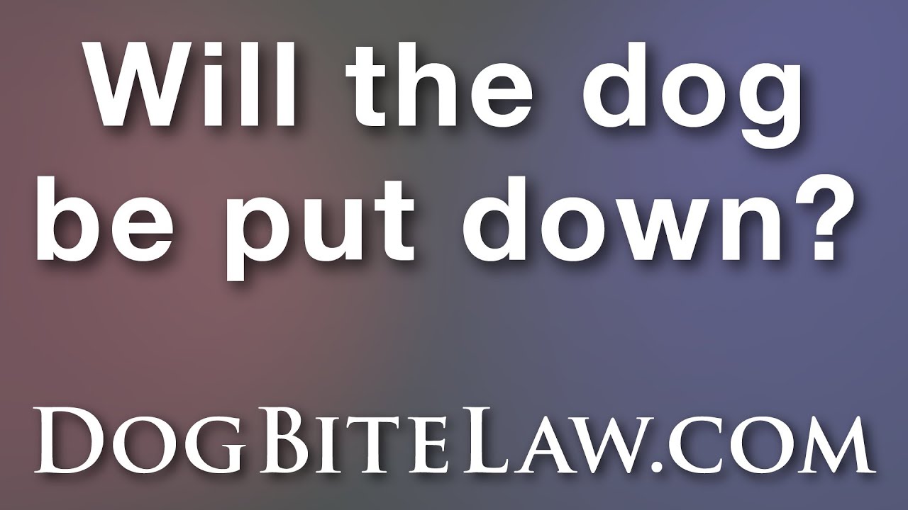 Will the dog be put down?
