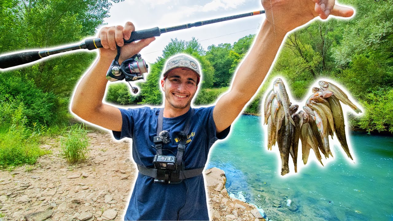 Pêcher beaucoup de Poissons et les Manger en Friture ! [Pêcher-Cuisiner-Manger]