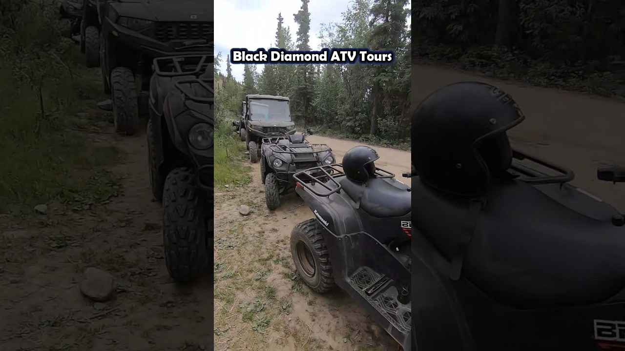 Day in Denali AK! Black Diamond ATV Tour! #alaskacruise #travel #travelalaska #atv #mountains