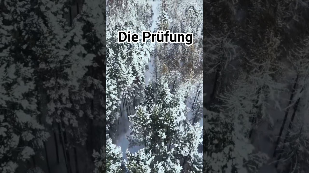 Die Prüfung