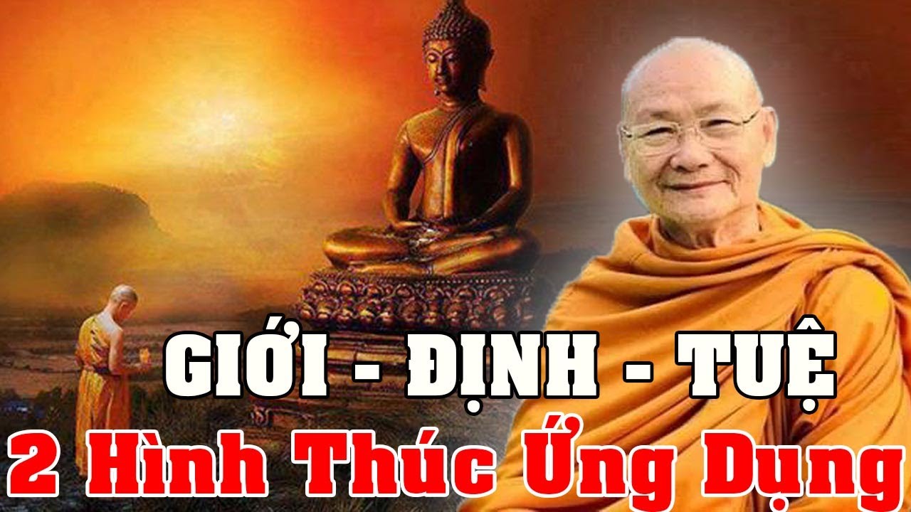 2 Hình Thức Ứng Dụng Giới Định Tuệ - HT Viên Minh Giảng | Phật Pháp Vấn Đáp