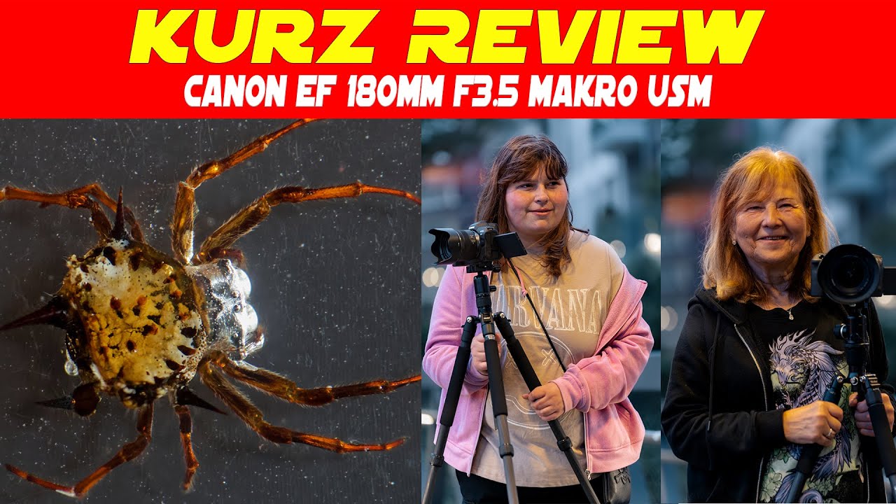 Canon EF 180mm f3.5 Makro USM Review: Das perfekte Makro-Objektiv?