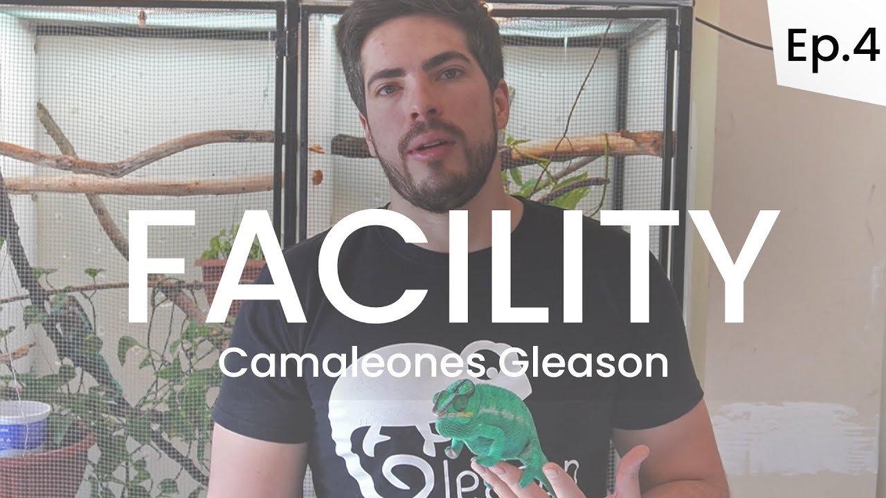 ¡El CRIADERO DE CAMALEONES MÁS IMPORTANTE EN MÉXICO! - FACILITY (Episodio 4)