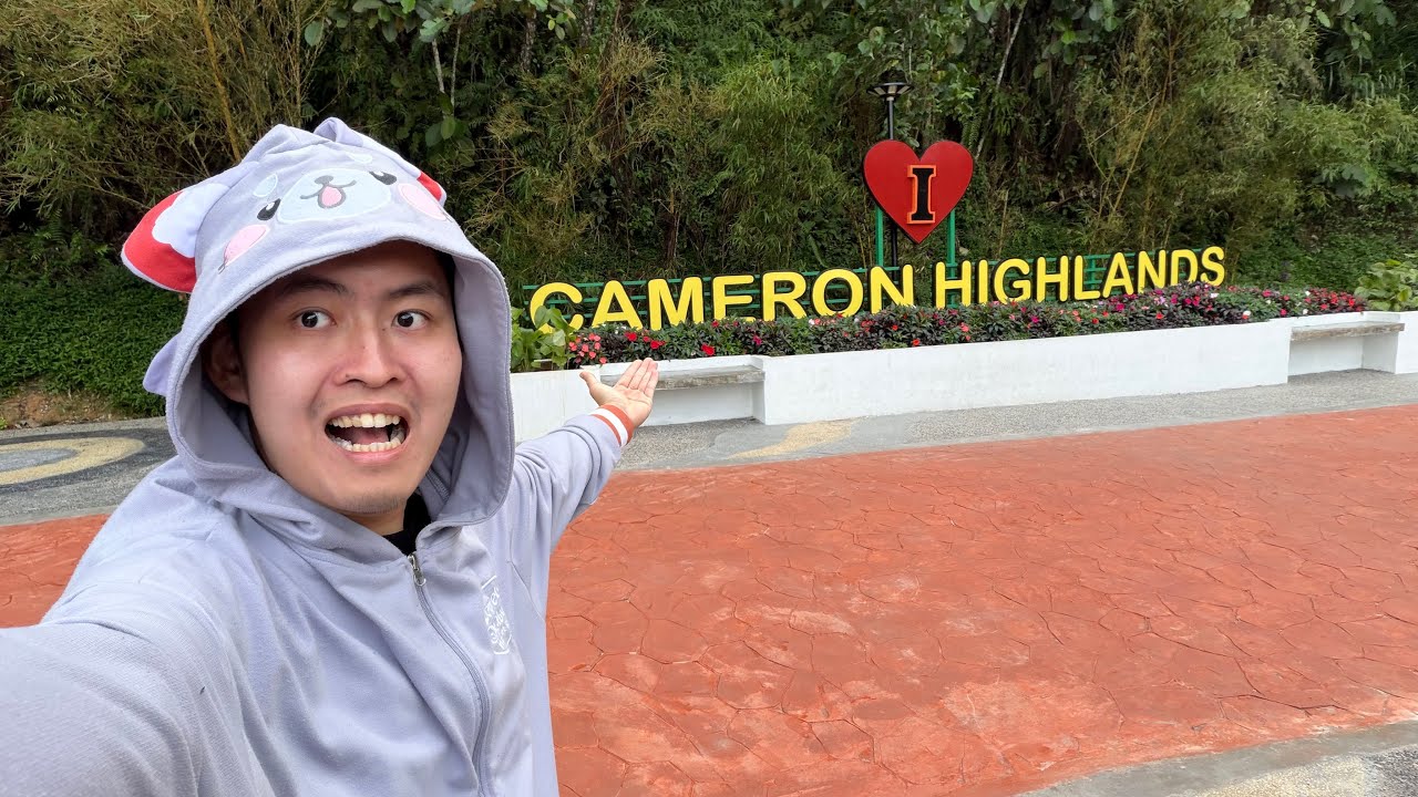 I went back to Cameron Highlands 7 years later... it's DIFFERENT.