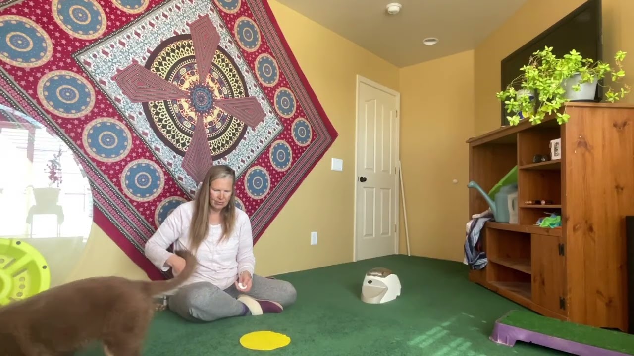 feet to remote trainer