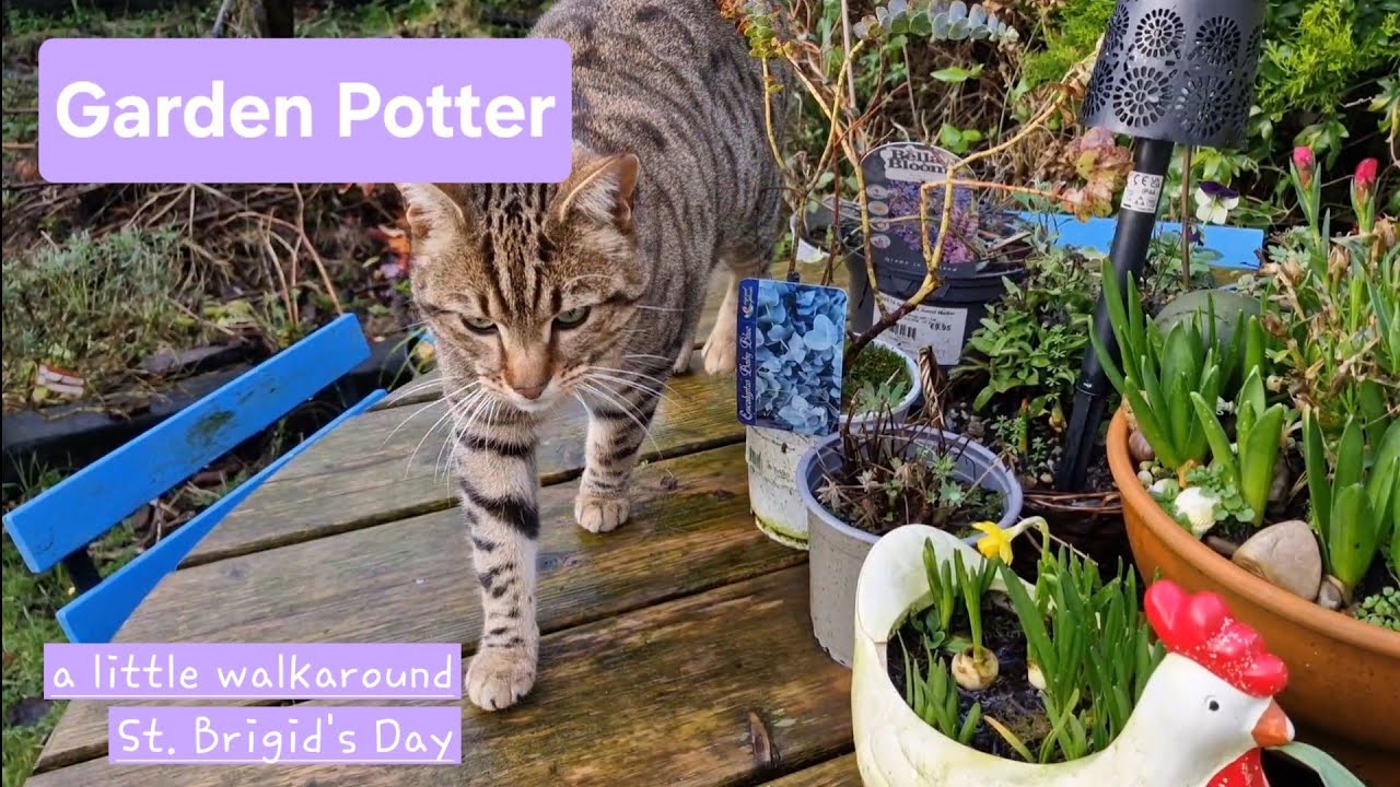Garden Potter, St. Brigid's Day