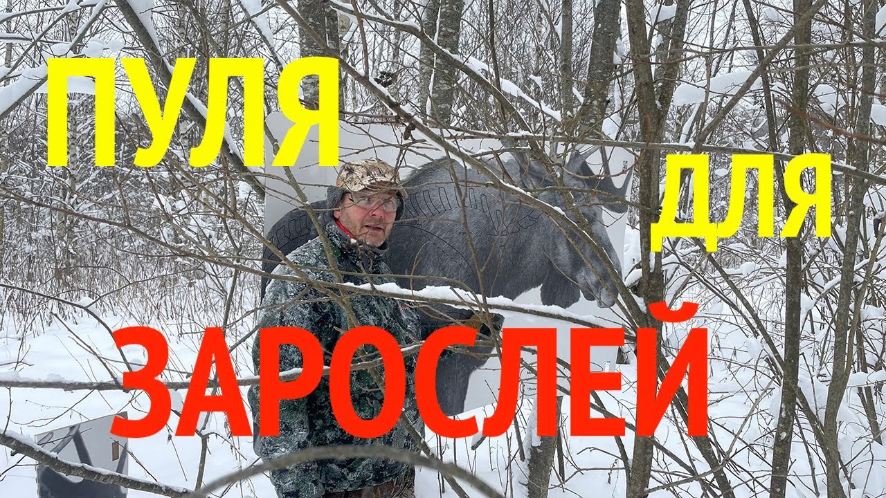 Какой пулей стрелять  из нарезного оружия в зарослях?