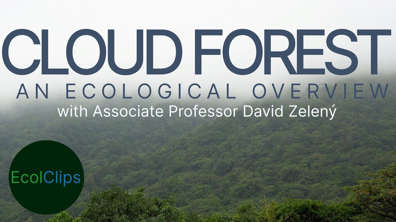 Cloud forest &ndash; An Ecological Overview with Assoc. Prof. David Zelen&yacute; | EcolClips