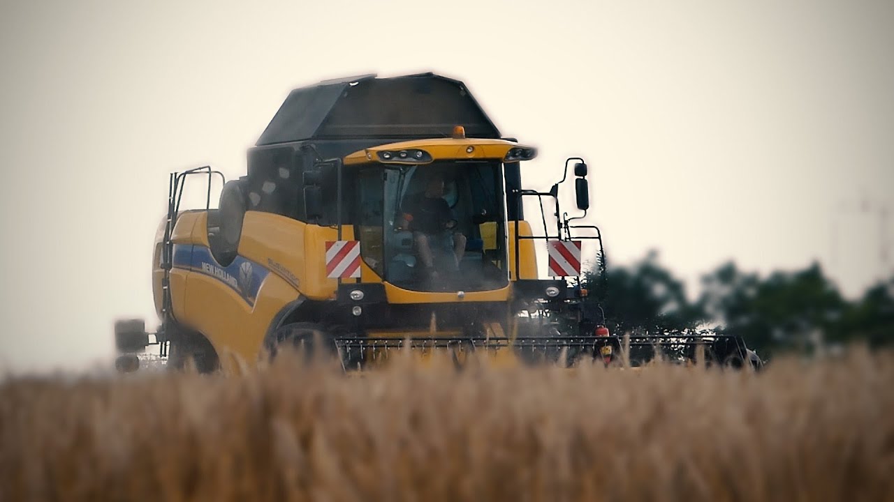 Pierwsze Żniwa 2020 ✔ New Holland cx 5080 | 2x John Deere | Jęczmień Ozimy