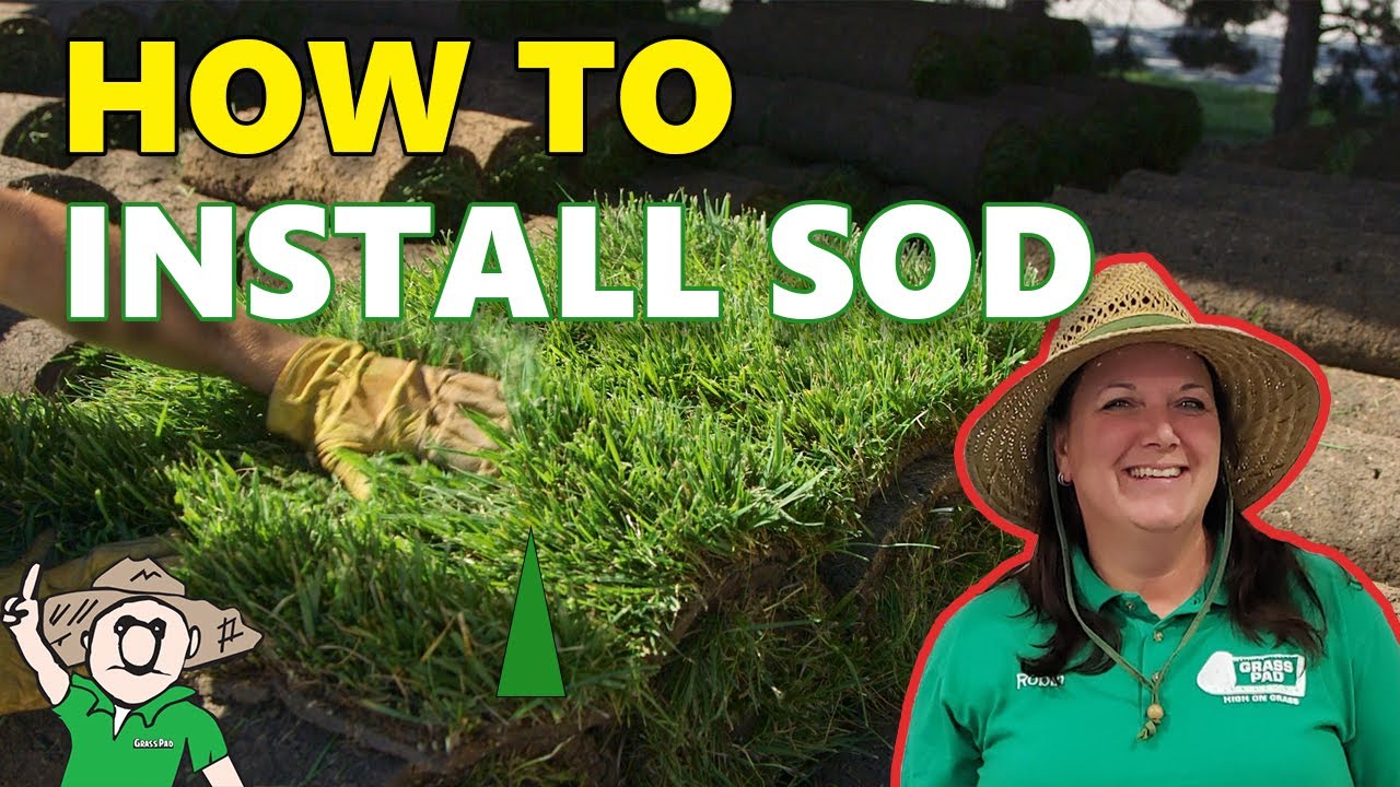 How to Buy and Install Sod