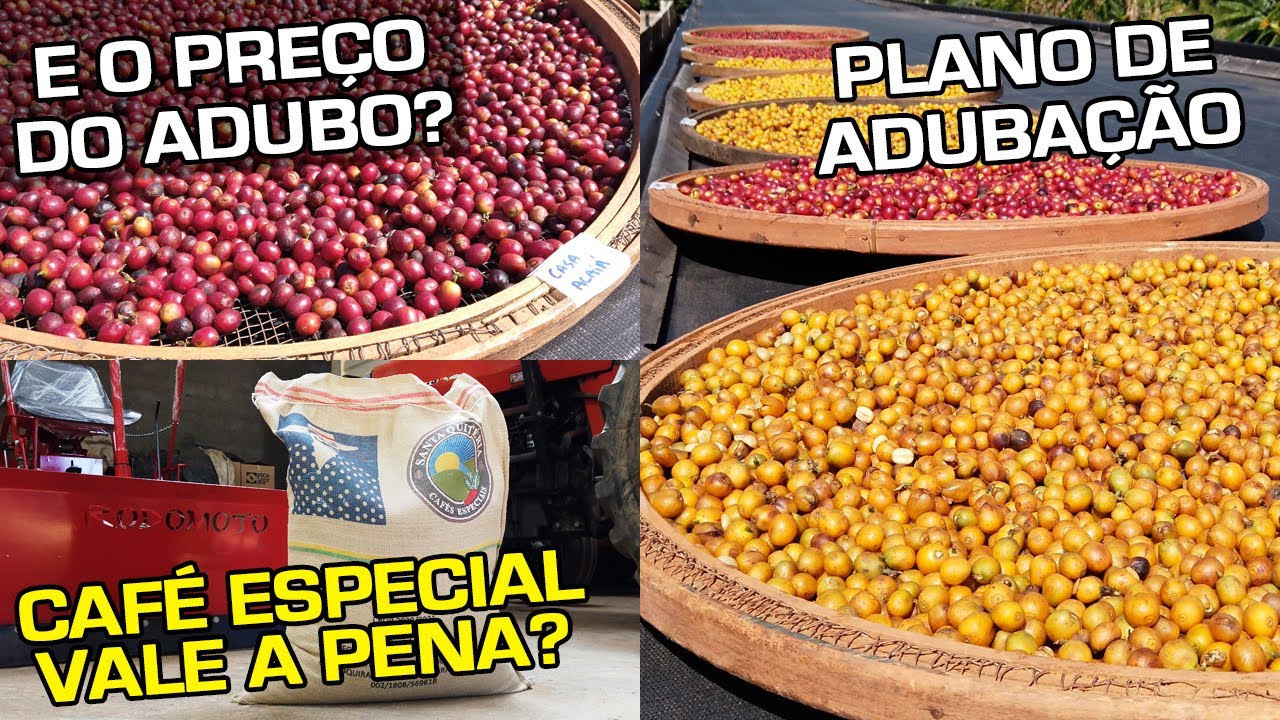 E o Preço do Adubo? | Café Especial - Vale a Pena? | Plano de Adubação | No Pé do Café