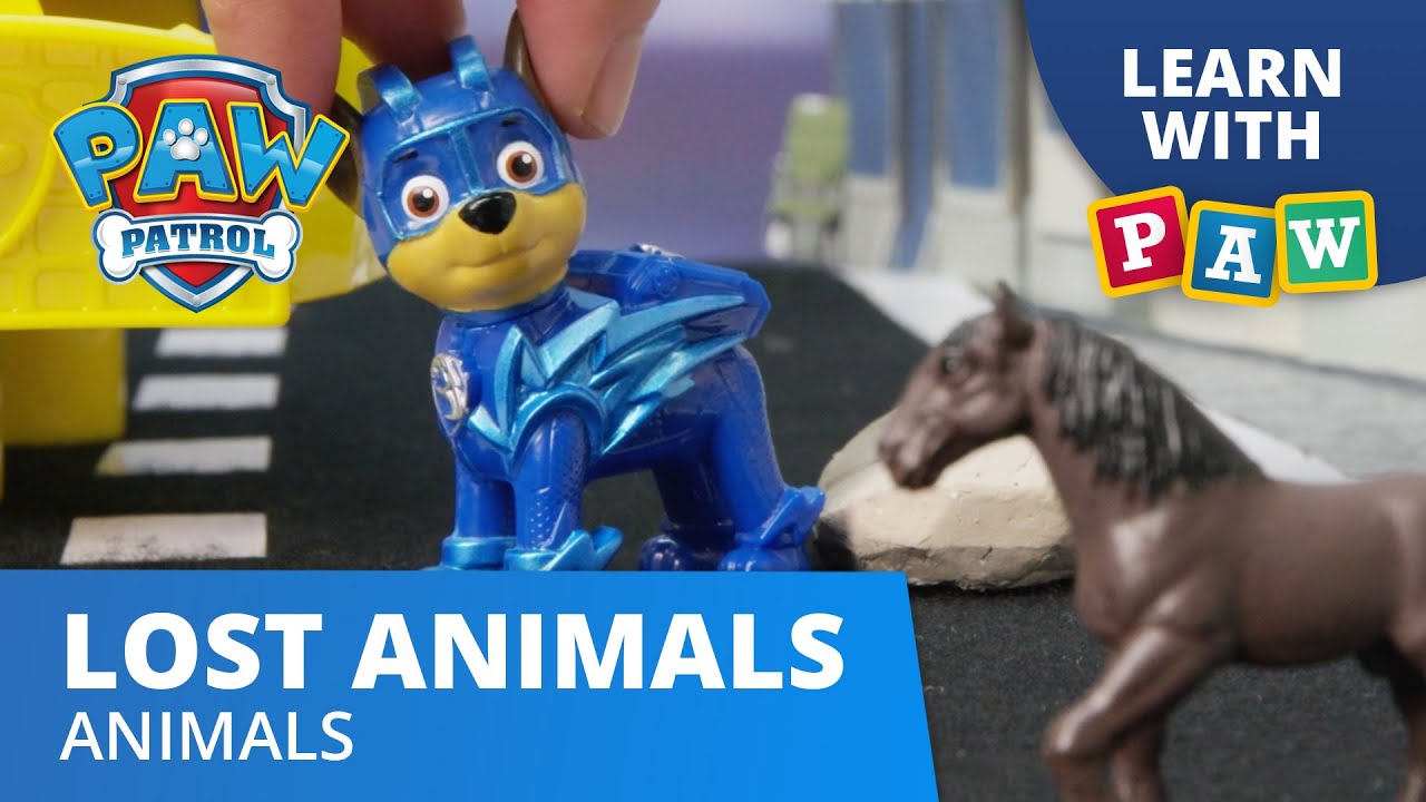 PAW Patrol Learn Animals & Sounds! - Rescue the Lost Animals - Learn with PAW Patrol