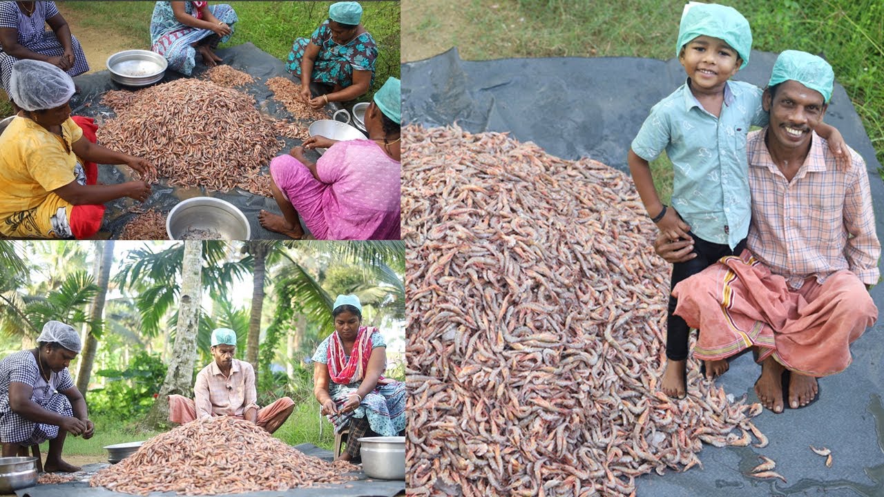 100 KG Prawn Pickle Making | Home made Pickle making