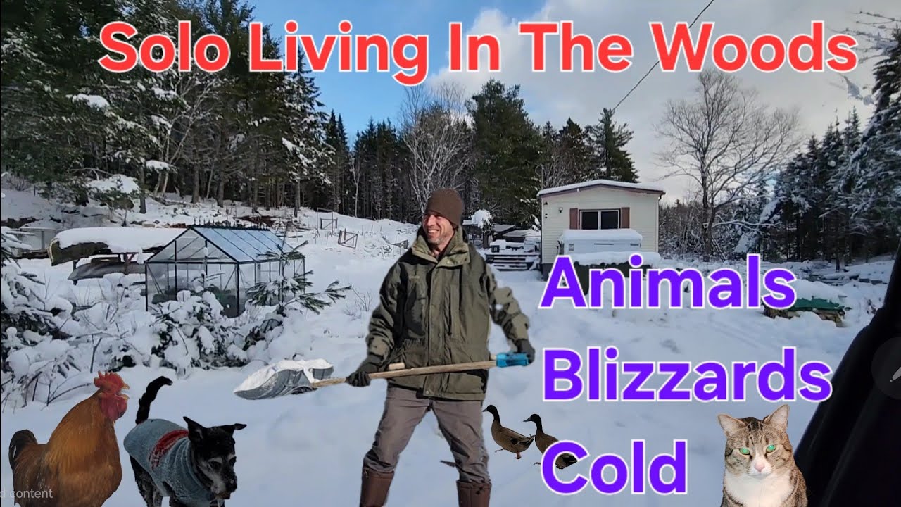 WINTER in The WOODS with Animals | Homestead Vlog Ep. 5