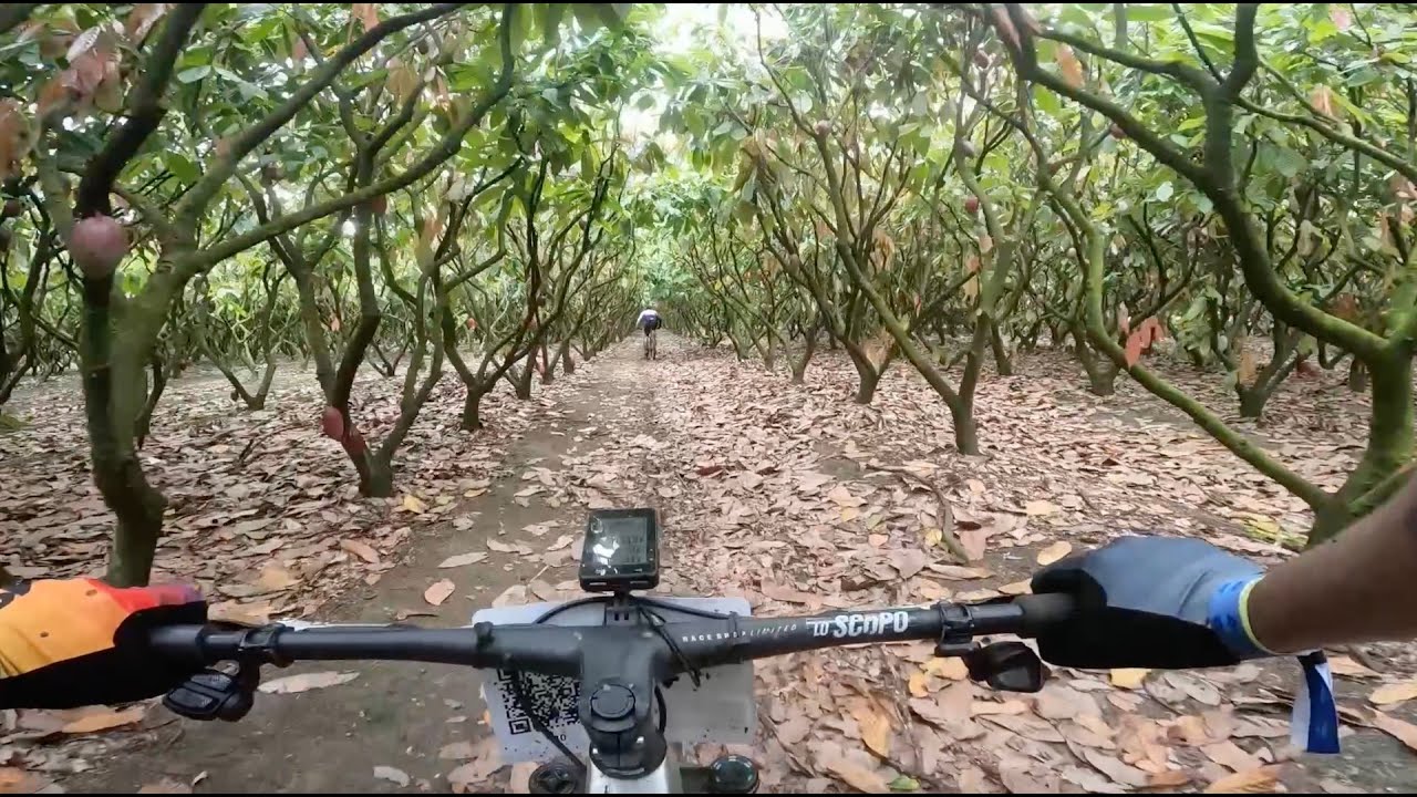 Novelinha Brasil Ride 2025 - Ep 5: PRIMEIRA ETAPA - Consegui controlar bem as coisas
