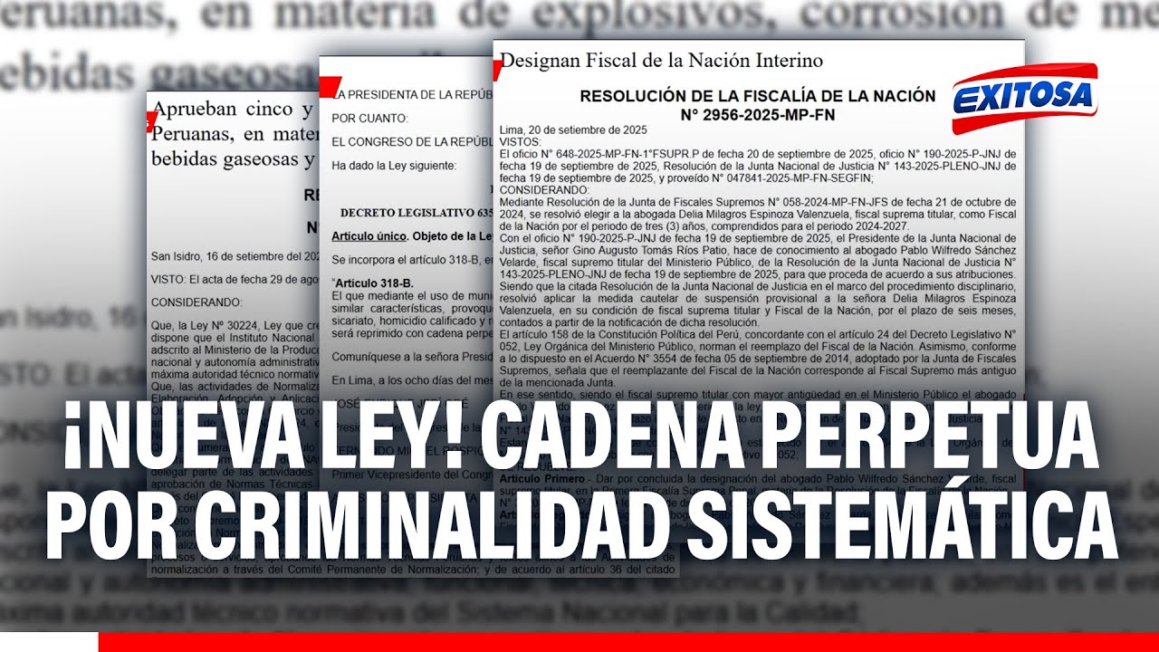 🔴🔵 Publican nueva ley que incorpora delito de criminalidad sistemática con pena de cadena perpetua