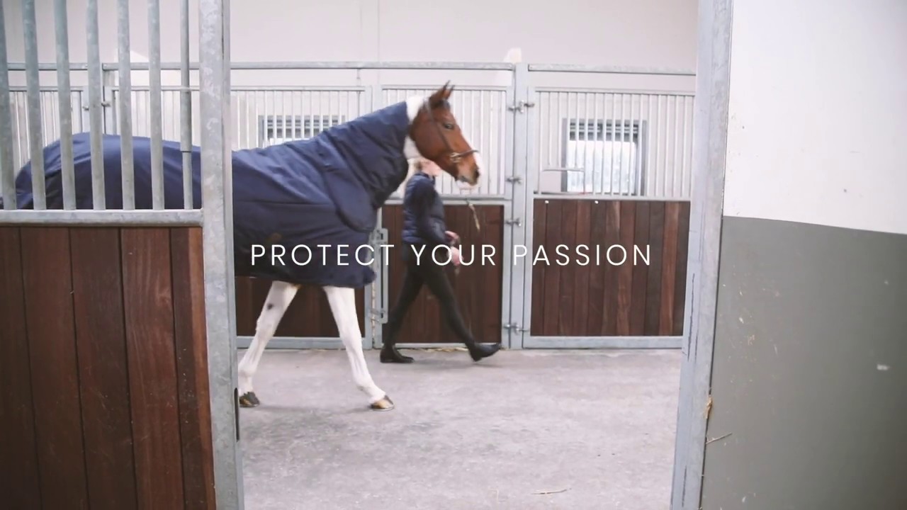 Turnout Rug All Weather - Kentucky Horsewear