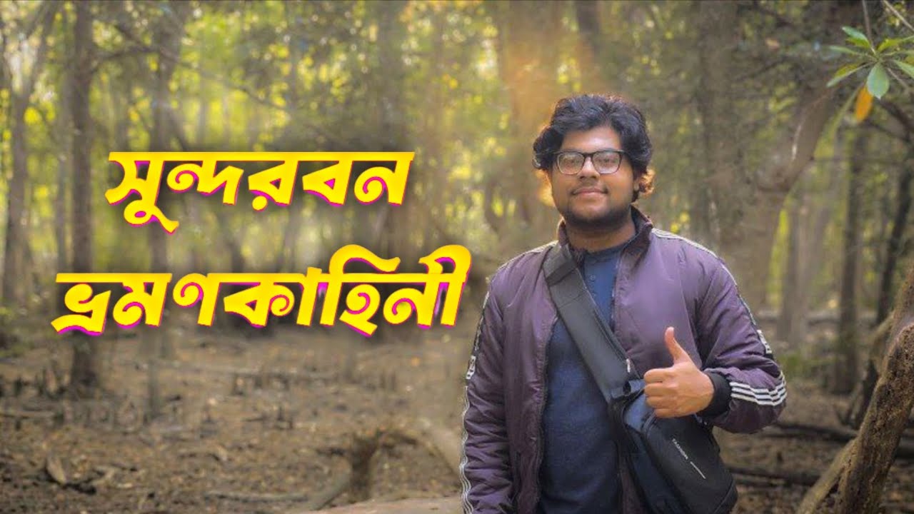​Sundarbans Tour Guide: সুন্দরবন কিভাবে যাবেন? Full Budget & Plan!
