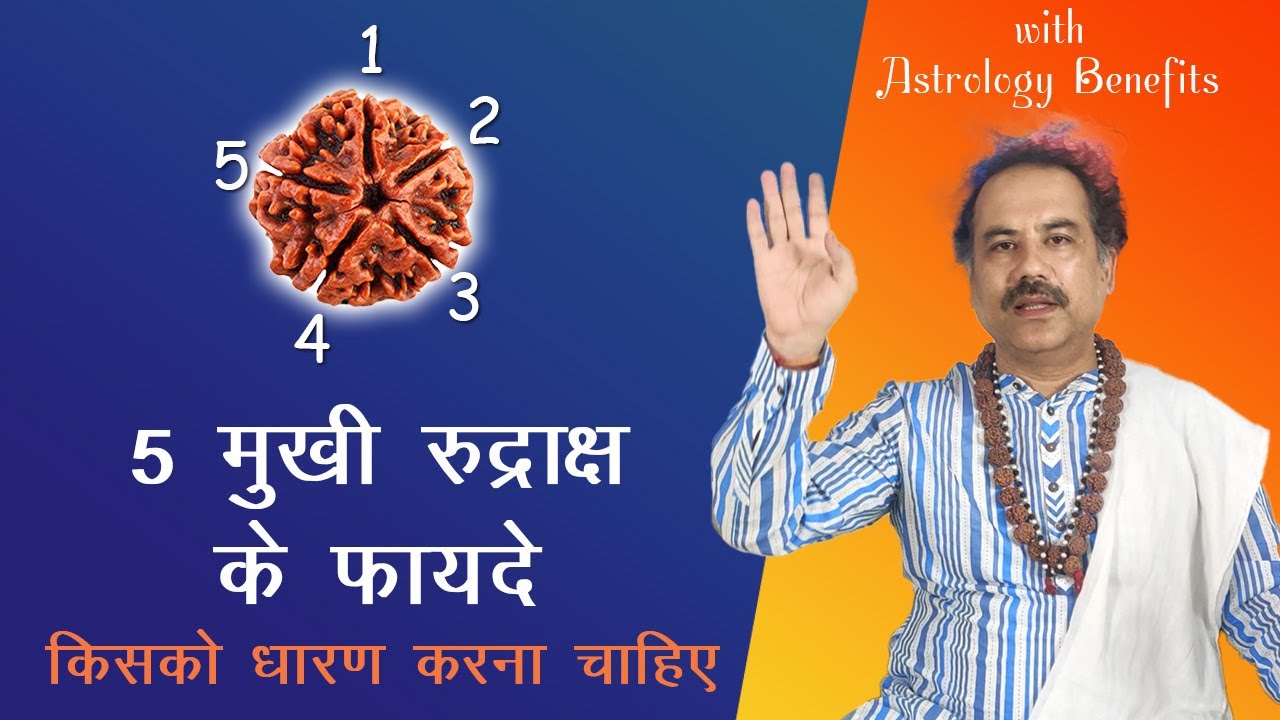 5 मुखी रुद्राक्ष के फायदे - किसको धारण करना चाहिए | Astrology Benefits 5 Mukhi Rudraksha