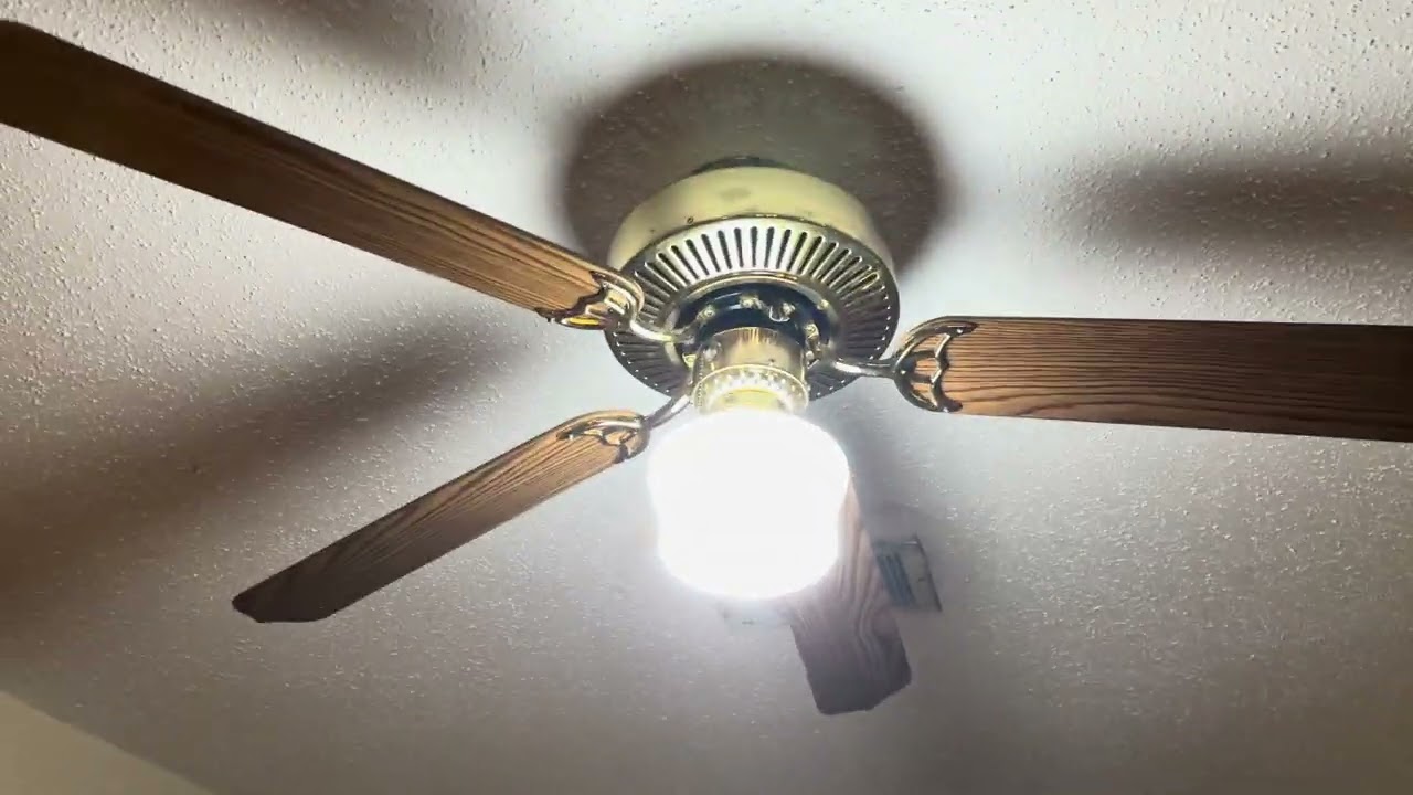 Various Ceiling Fans at Salvo’s Seafood