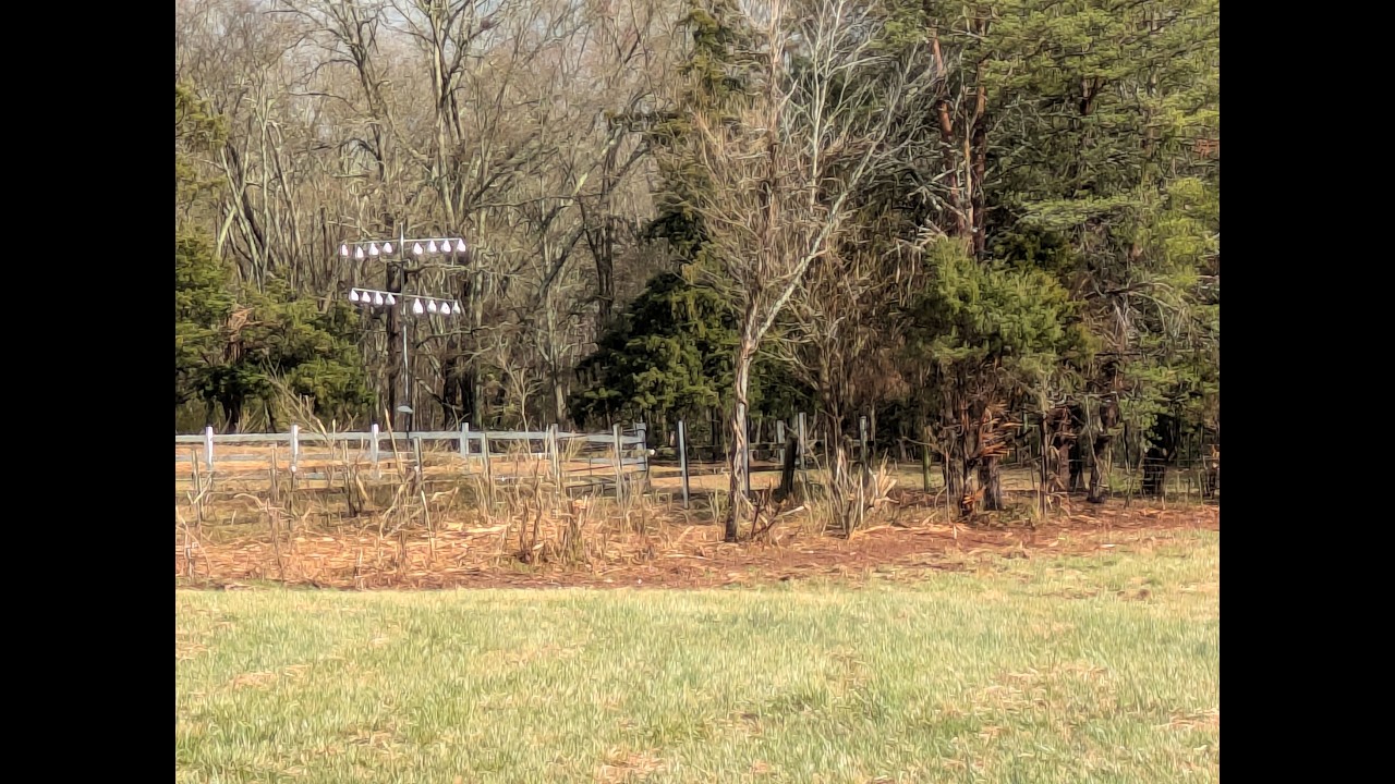 Extreme Brush Cutting The Dead Zone Between Fences