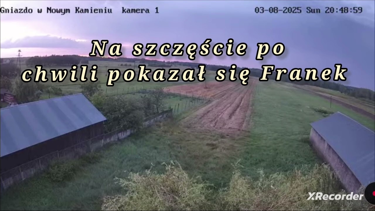 TRAGEDIA W NK 03.08.2025  GNIAZDO RUNĘŁO 