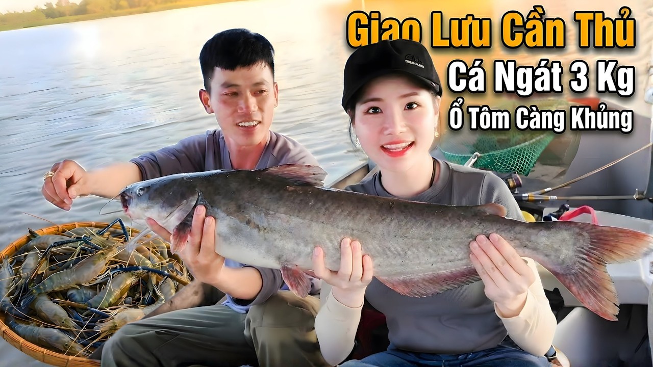 Kiều Thơ Và Cần Thủ Chạm Trán Cá Ngát 3kg Và Ổ Tôm Khủng