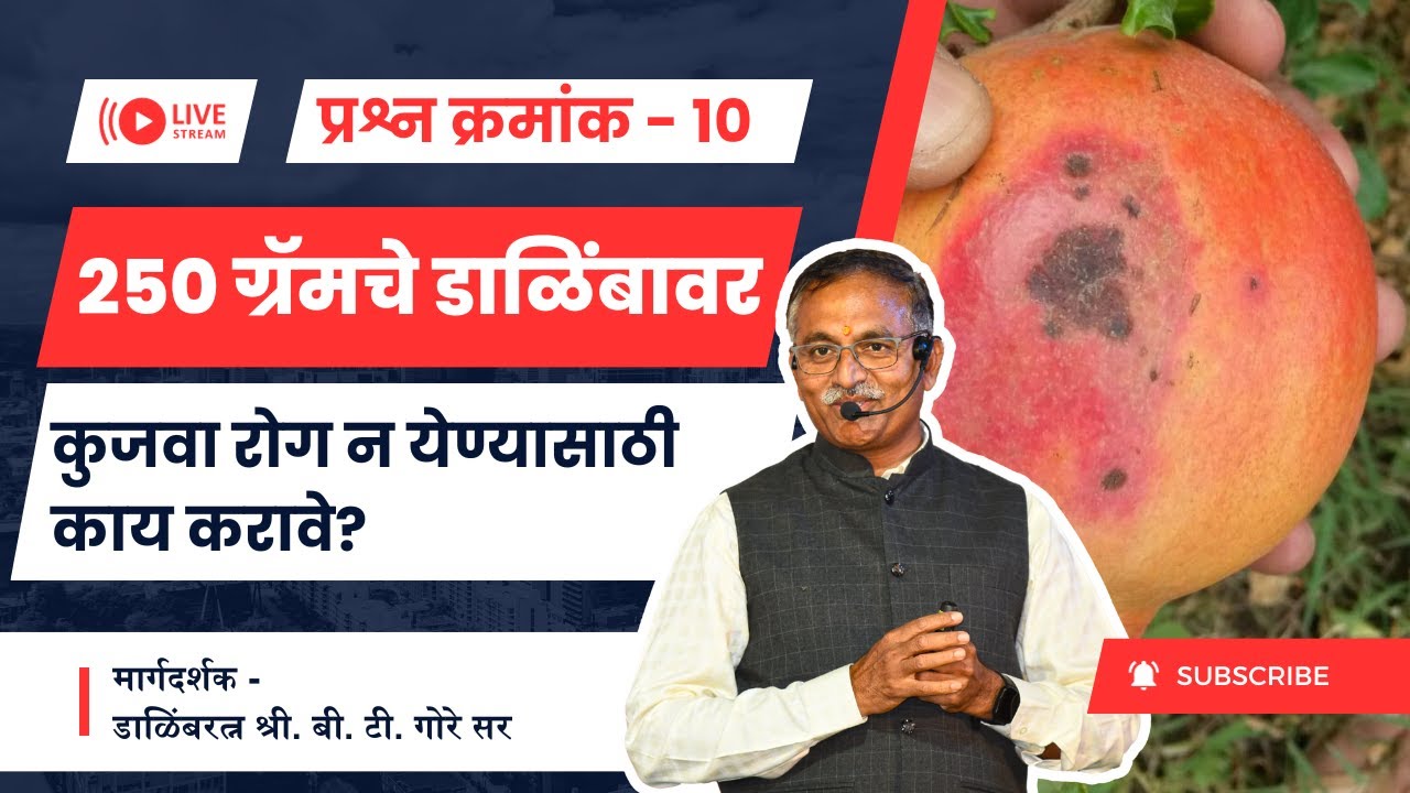 प्रश्न क्रमांक 10 - डाळिंबावर कुजवा रोग न येण्यासाठी काय उपाय करावा @BTGore