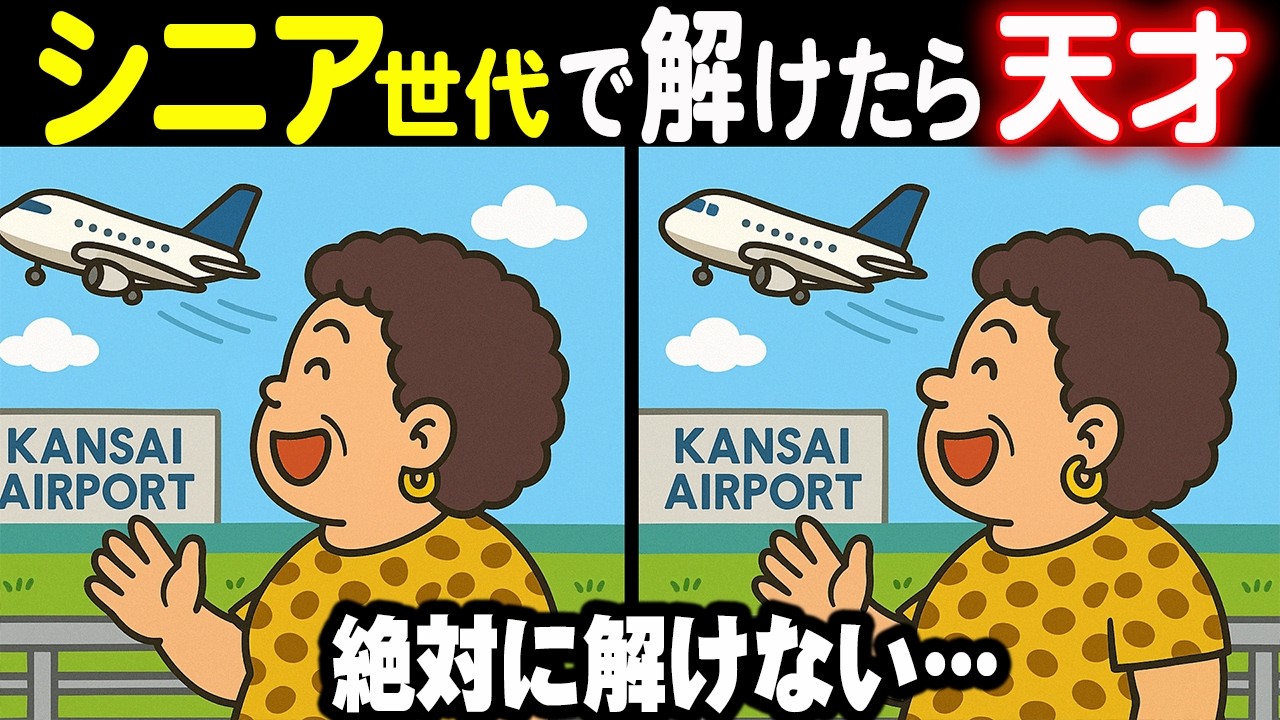 【難しいけど夢中になる間違い探しクイズ】難しすぎず、簡単すぎない絶妙なバランスの33連発総集編！