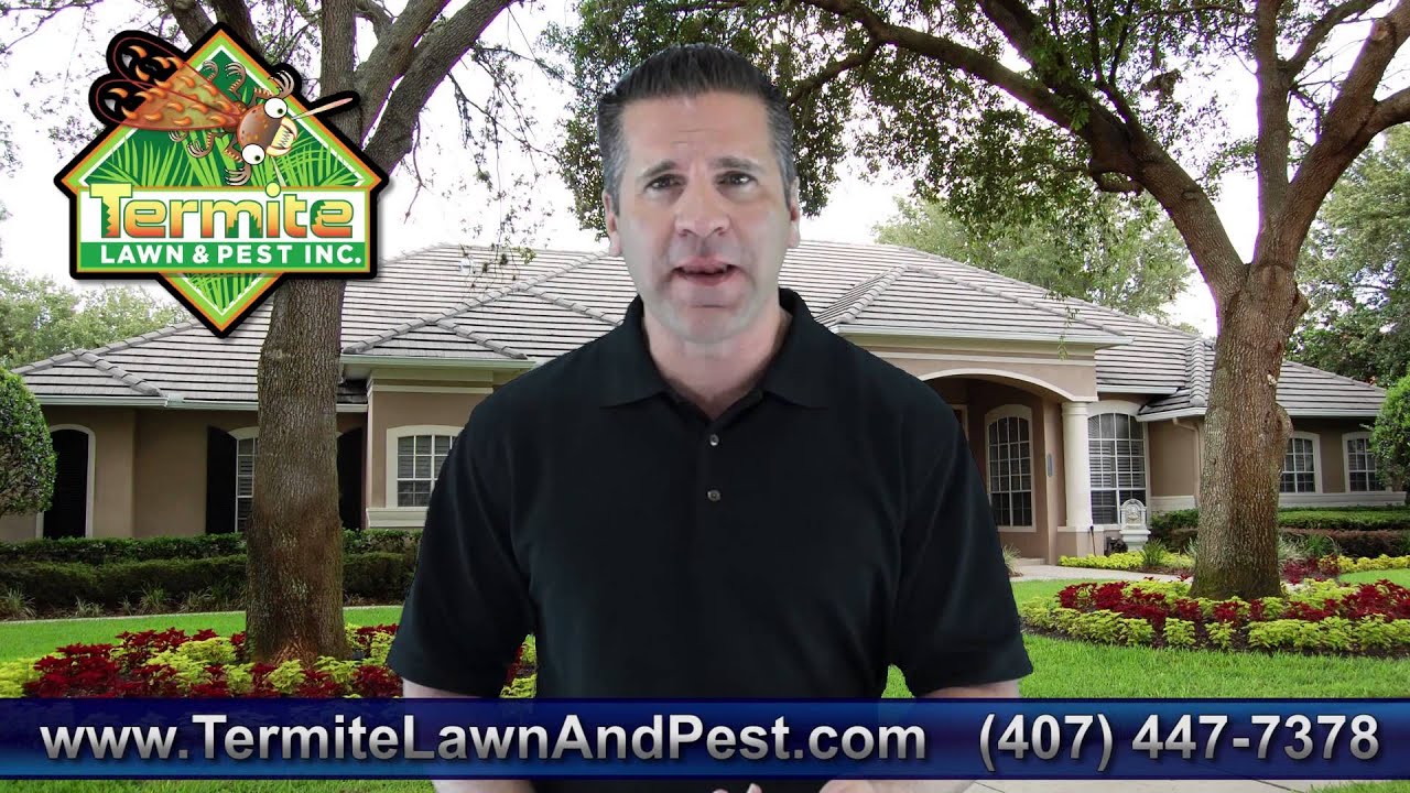 Pest Control Orlando | Termite Orlando | 407-447-7378 | Orlando Termite Protection