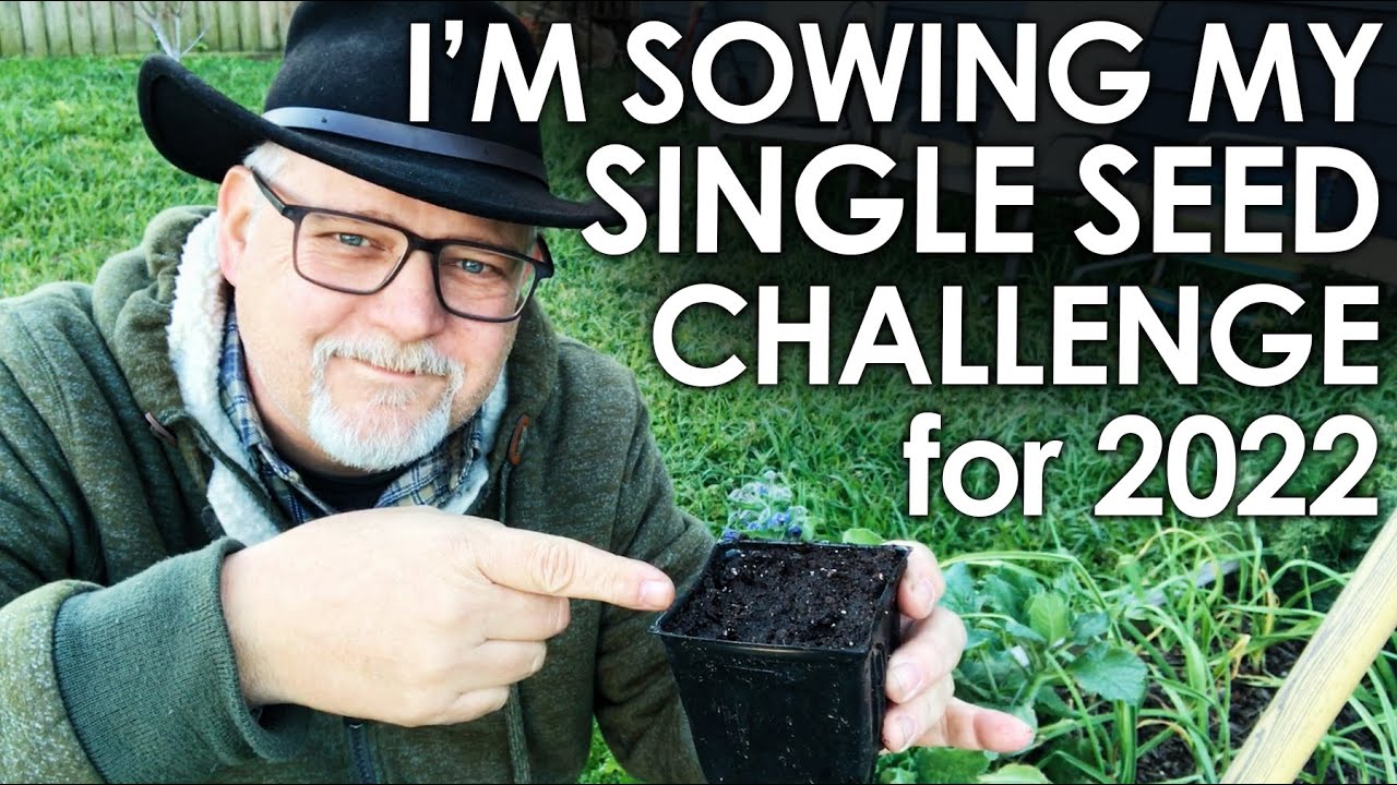 Sowing My SINGLE SEED CHALLENGE 2022 || Black Gumbo