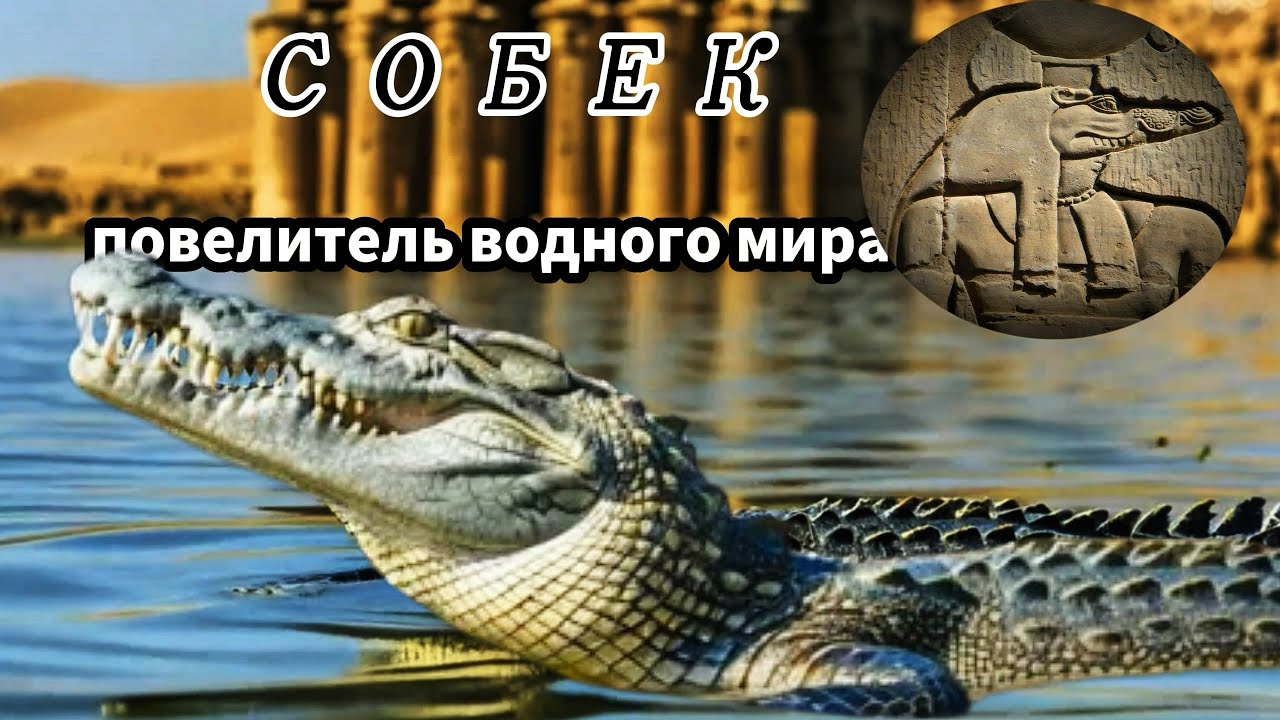 СОБЕК...Повелитель водного мира
