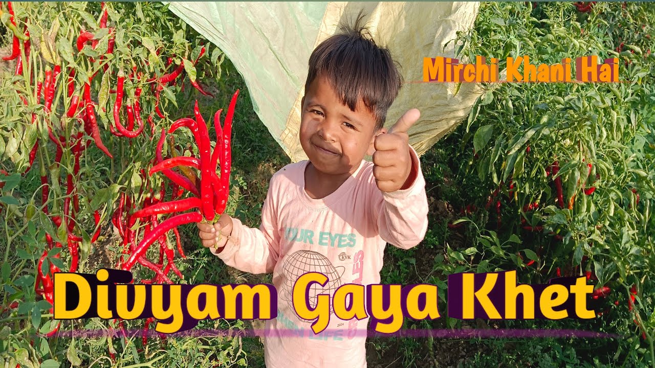 Divyam Gaya Khet// New Vlog Video// The Divyamsinh Vlogs #vlogs 
