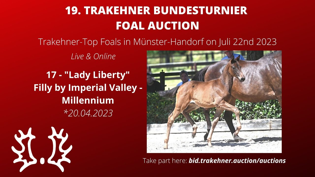 17 - Lady Liberty - filly by Imperial Valley - Millennium *20.04.2023