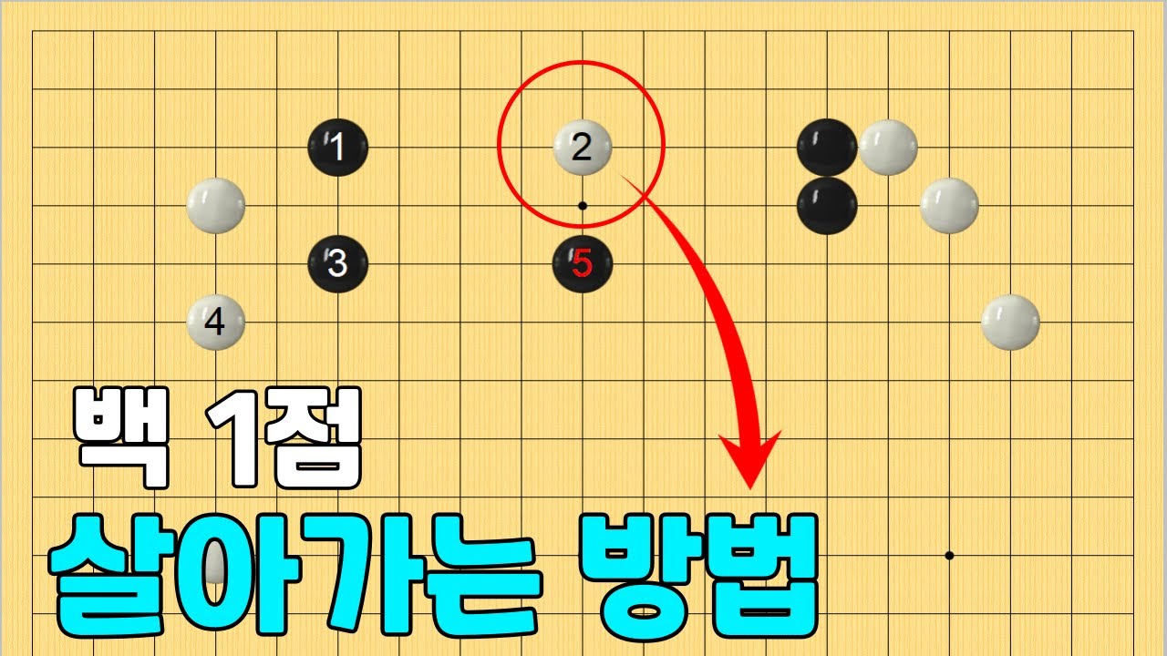 [초반50수] 살아가는 방법, 어렵지 않아요