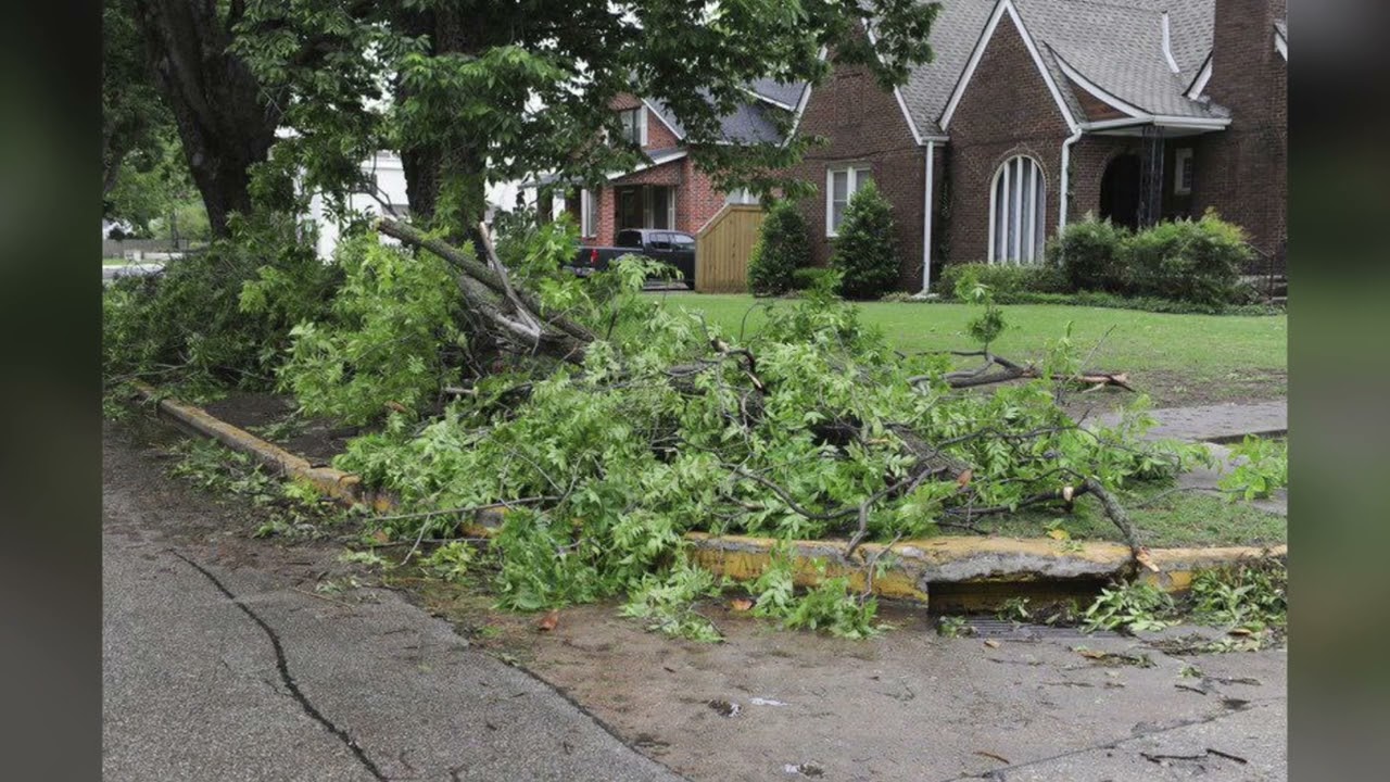 Signs of Weather Damage to your Property