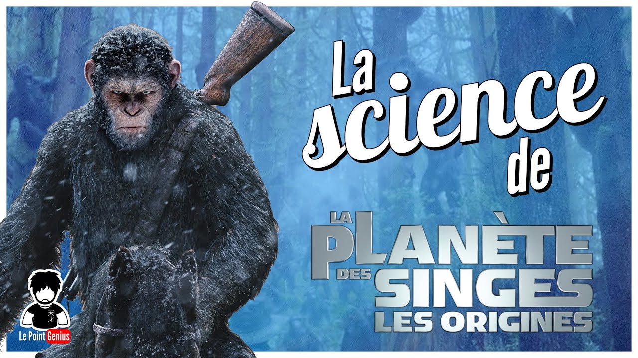 Alzheimer, football et thérapies géniques, la science de la Planète des Singes... 🐵🐒