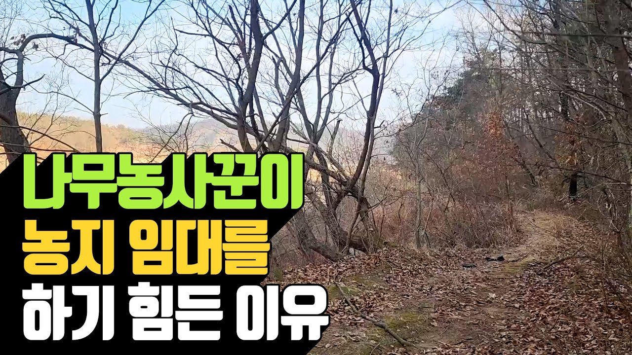 나무농사꾼이 농지 임대를 하기 힘든 이유 | 나무대장🌳 나무농사의 모든것