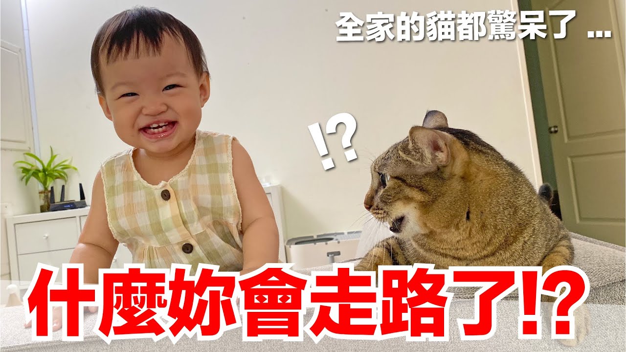 【小貓奴養成記EP20】為什麼妳會走路了！？全家的貓都驚呆了...