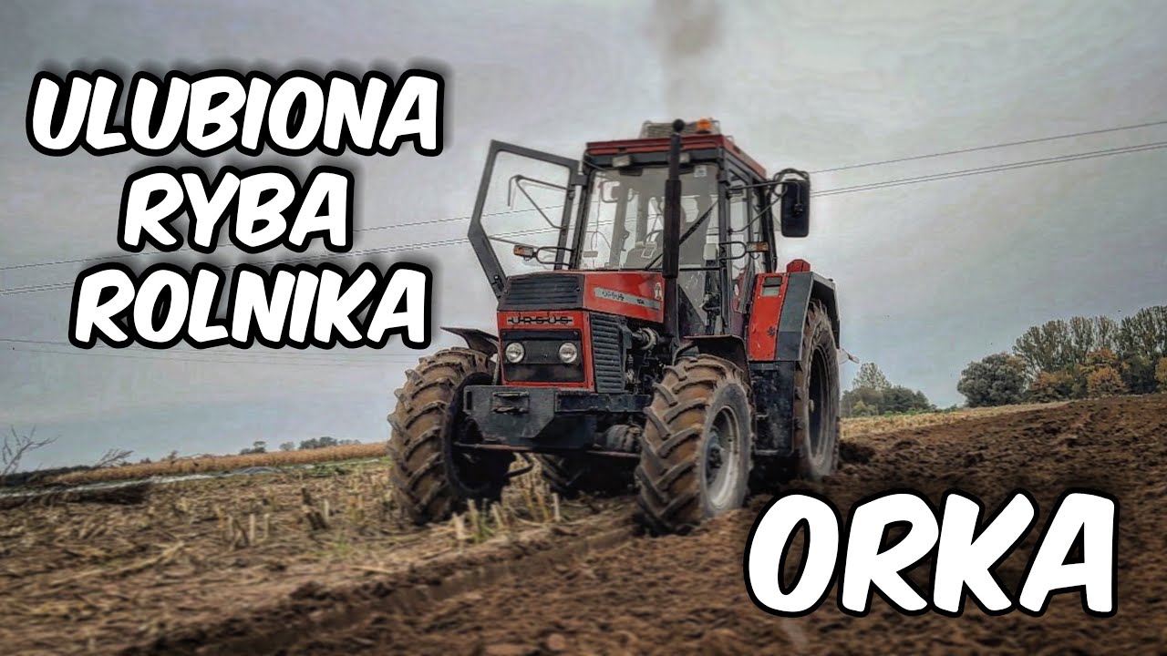 Ciężka Orka 1634 👊🏻🚜🔥 Ursus1634😎🚜 GR Witkowski