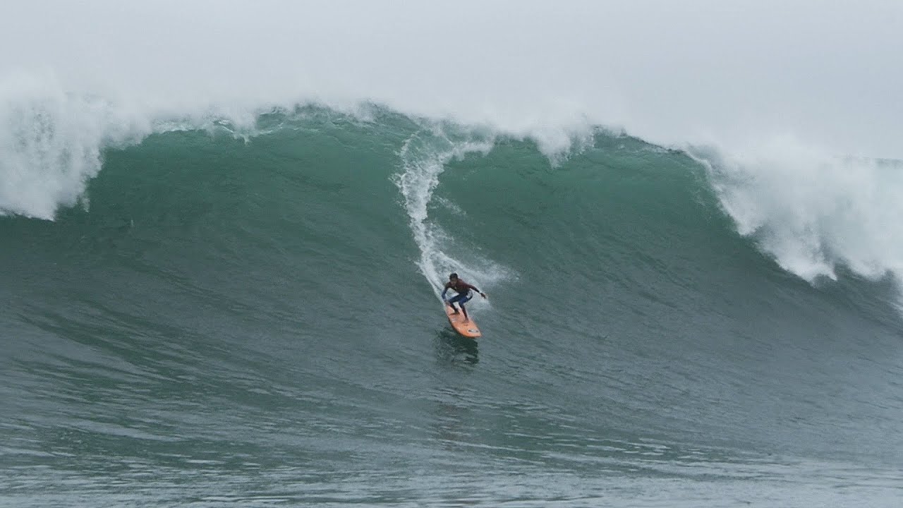 PROYECTO SOFIA MULANOVICH PICO ALTO