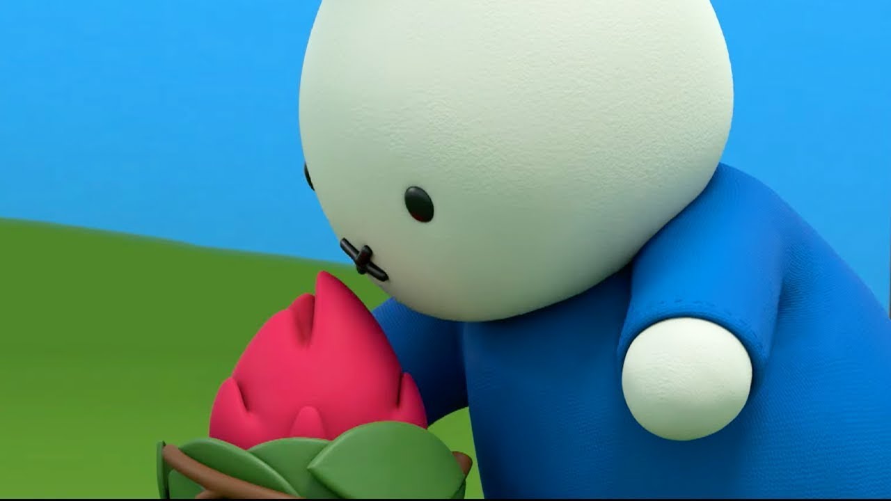The Strange Fruit | Miffy's Adventures Big & Small