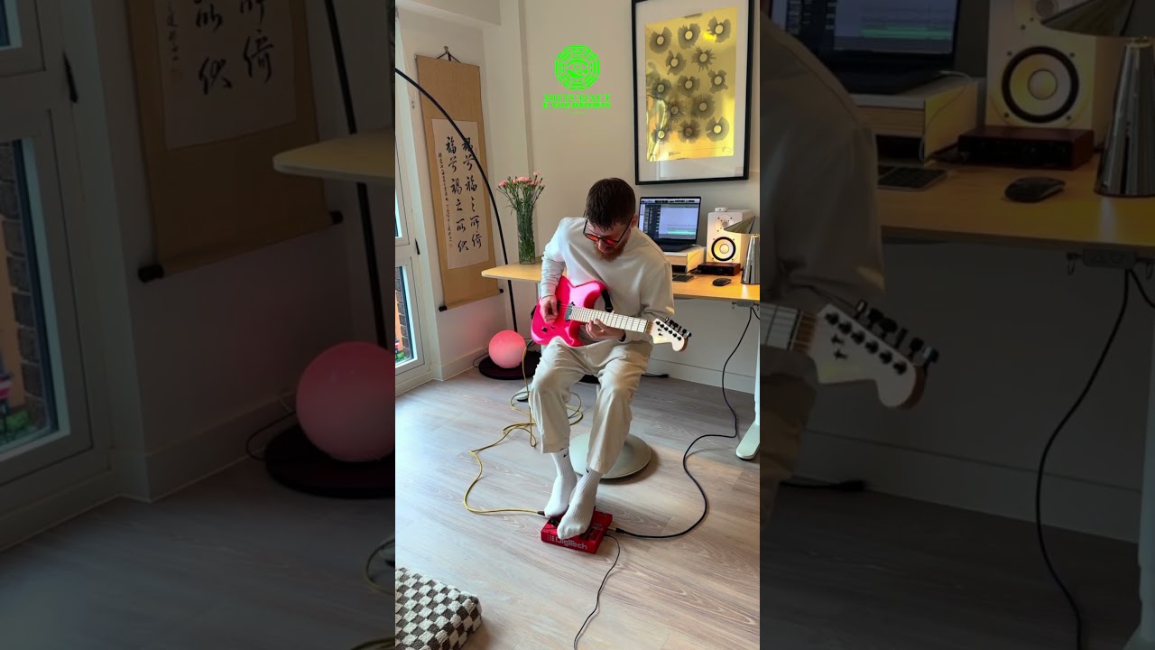 INSANE GUITAR WHAMMY LEAD! 