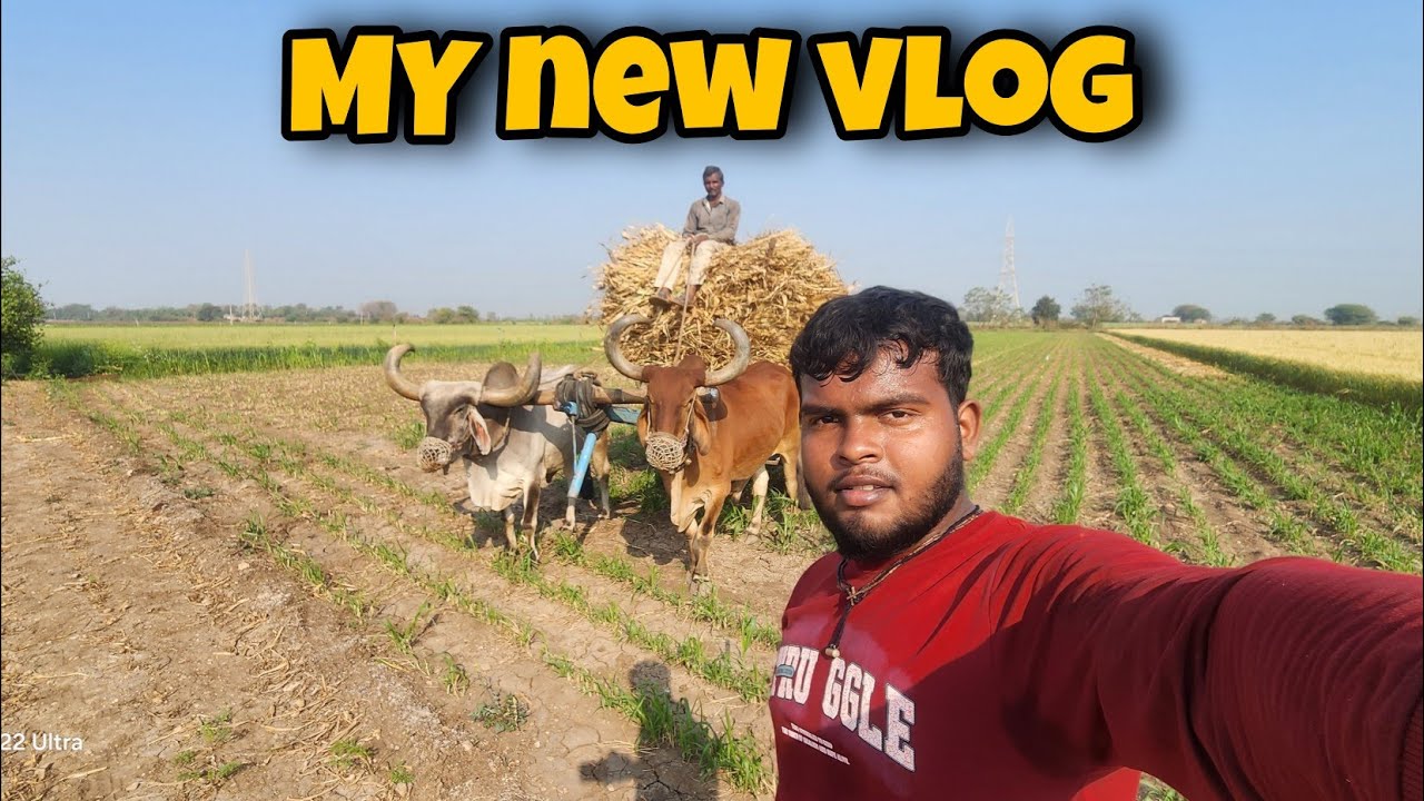 My new vlog | aj to belo ka chara samet liya | anuj shani vlogs | 