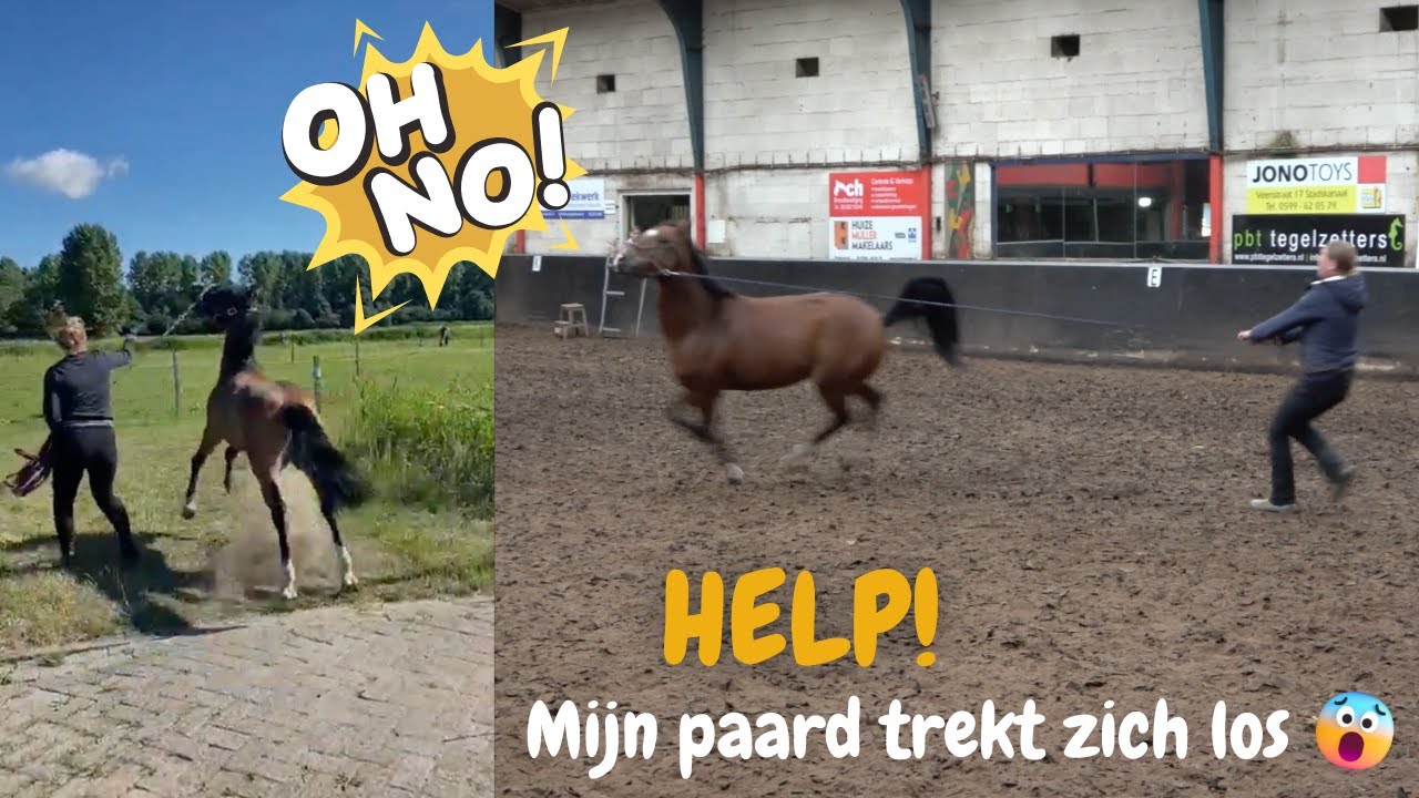 HELP mijn paard trekt zich los! | DressuurNatuurlijk