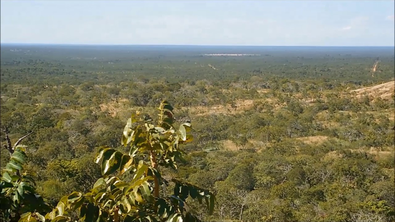Aldeia Xavante  / MT