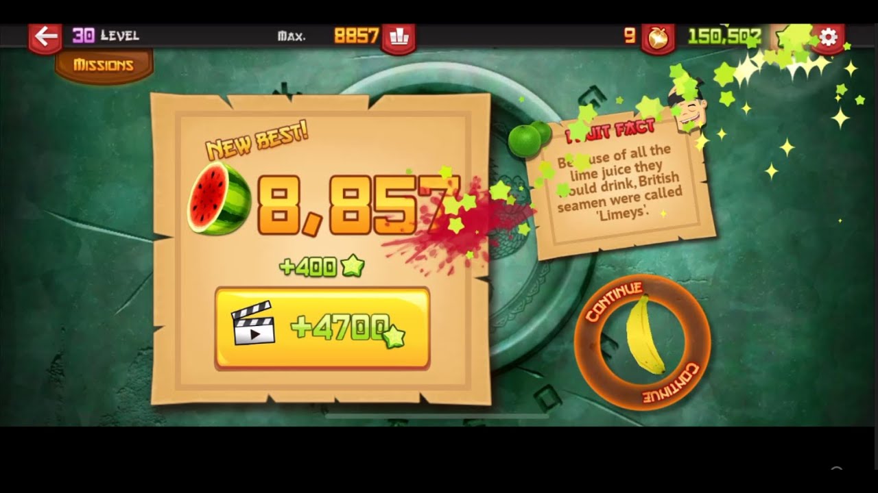 FRUIT NINJA ARCADE WORLD RECORD 8857