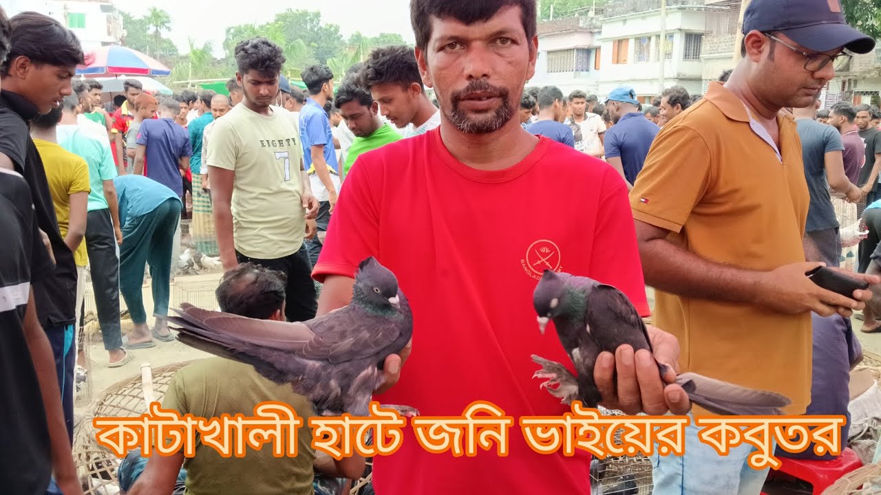 রাজশাহীর বিখ্যাত কাটাখালী কবুতর হাটে  জনি ভাইয়ের কাছে বিভিন্ন জাতের কবুতর পাওয়া যাচ্ছে কম দামে 2025
