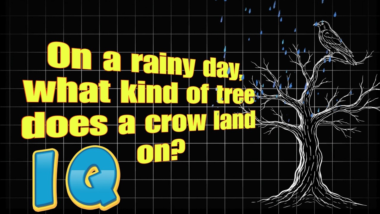 This IQ Question Is Harder Than You Think! If You Know This,You are Genius