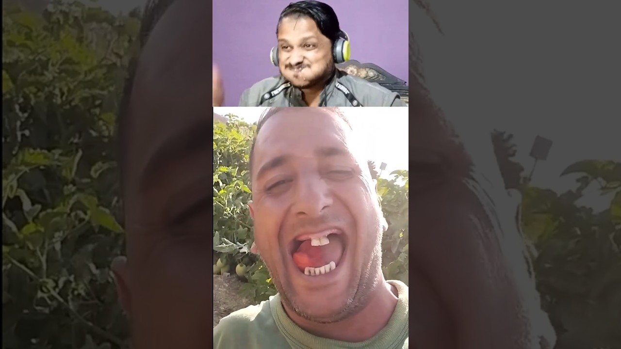 CRAZY TRY NOT TO LAUGH CHALLENGE IMPOSSIBLE 61 | WAIT FOR END | Dumb Buddy's Everywhere